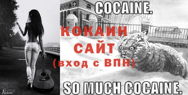 крисы Балахна