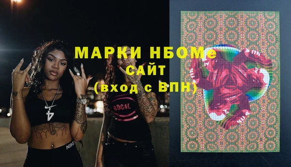 шишки Баксан
