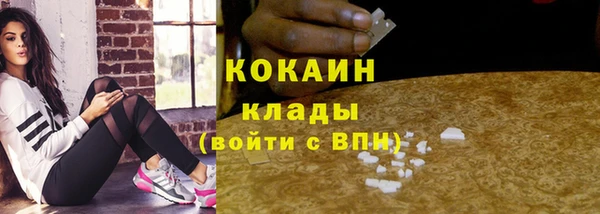 крисы Балахна